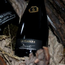 Az. Agr. Ca' Piadera